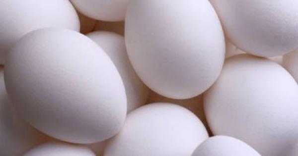 دراسة: تناول بيضة واحدة يومياً يقضى على الحساسية منه