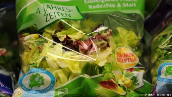 السلطات المعلبة بيئة خصبة لبكتيريا السالمونيلا