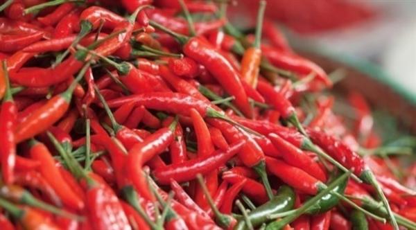 أفضل توابل وأعشاب لحرق دهون البطن