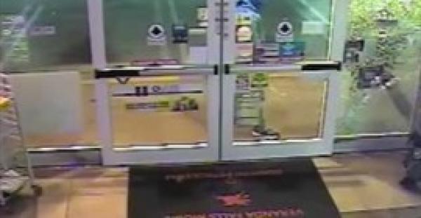 بالفيديو.. أغبى وأفشل عصابة في العالم