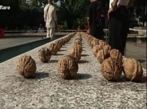 بالفيديو: صيني يسحق 300 جوزة بقبضته في أقل من دقيقة