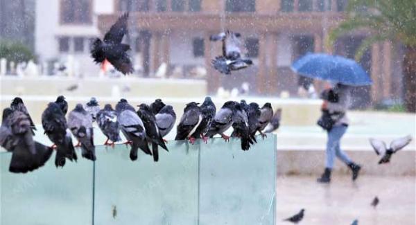 أمطار ورعد ورياح قوية منتظرة اليوم بعدد من المناطق المغربية