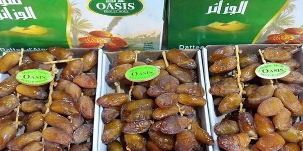 دخلهم الصهد.. مصدرو التمور في الجزائر مستاؤون من الحصار المغربي التونسي