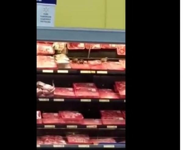 بالفيديو: طيور تأكل من أطباق اللحوم في "وول مارت"