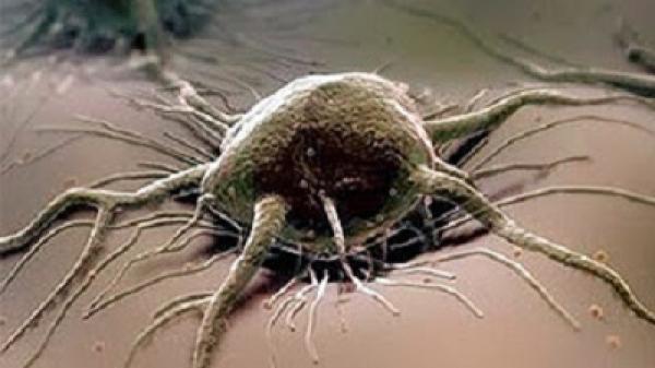 أخيراً ... خلايا السرطان تدمر بعضها !