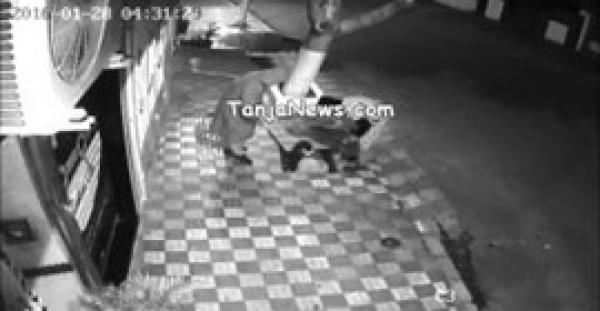 بالفيديو.. لحظة سرقة أسلاك الهواتف بطنجة