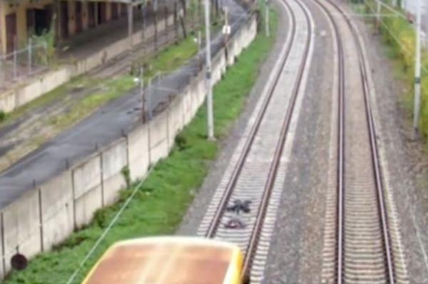 بالفيديو: مراهقان يستلقيان على سكة قطار لزيادة مشاهداتهما على يوتيوب