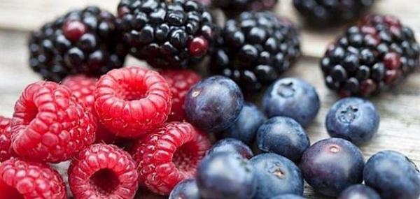 التوت البري الأحمر يحارب السرطان وتبطئ نمو الأورام الخبيثة