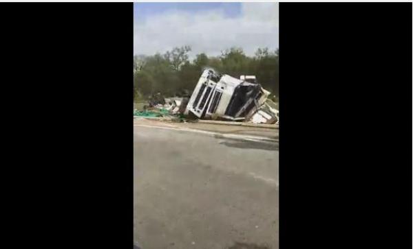 انقلاب شاحنة لنقل الطماطم بعد حادثة سير قرب غابة المعمورة