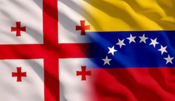 جورجيا تعترف برئيس البرلمان الفنزويلي رئيسا للدولة اللاتينية