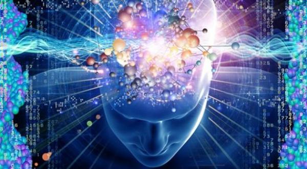 دراسة: الإنسان يتذكر ما يلمسه أكثر مما يسمعه