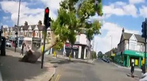 بسبب الرياح القوية.. شجرة عملاقة كادت تودي بحياة سيدتين(فيديو)