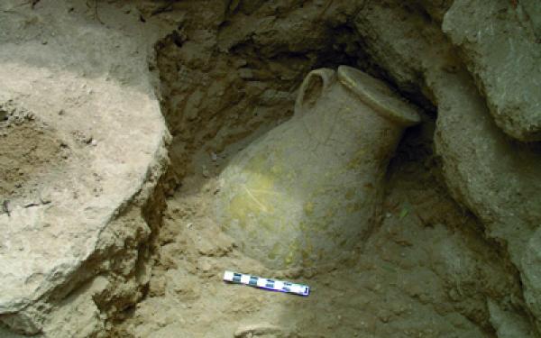 صورة من الأرشيف