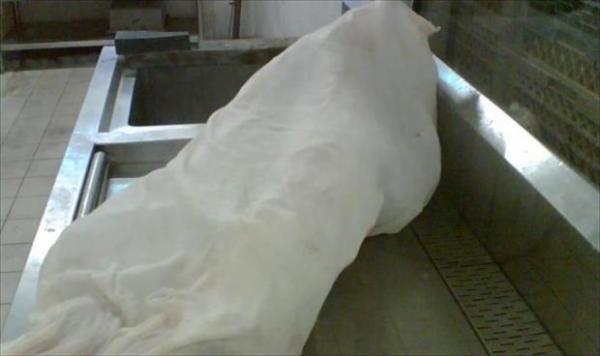 الصورة من الأرشيف