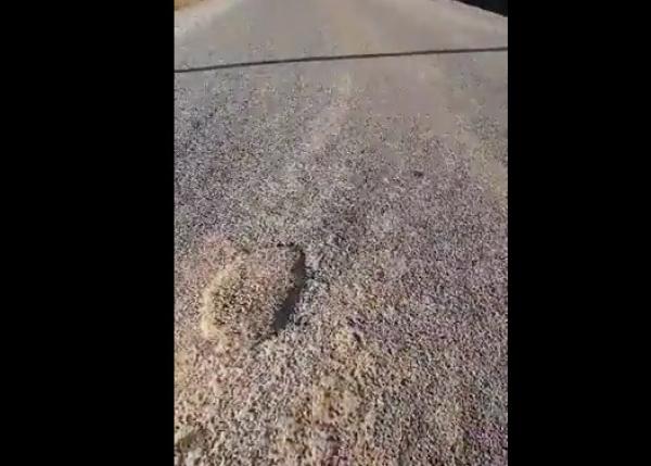 بالفيديو... نائب رئيس جماعة قروية يفضح "الغش" في طريق حديثة ويحرج مديرية التجهيز ويطالب بفتح تحقيق