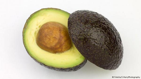 حيلة بسيطة وفعالة لتسريع نضوج الأفوكادو