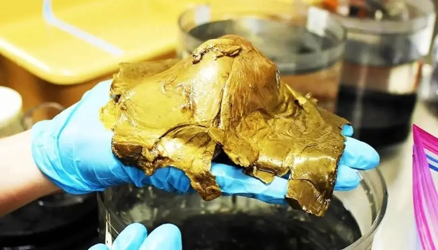 لغز الكرة الذهبية في قاع المحيط يكشف مفاجأة علمية