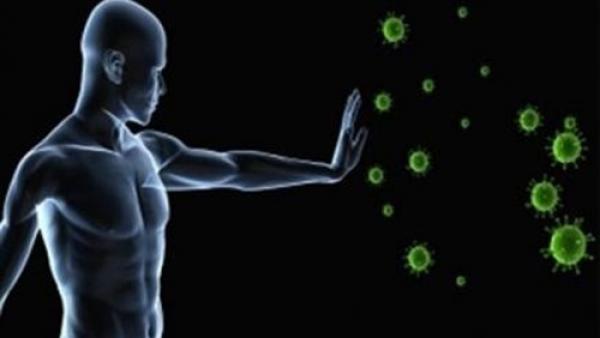 6 طرق تقوي المناعة وتحمي من الأمراض.. اكتشفها