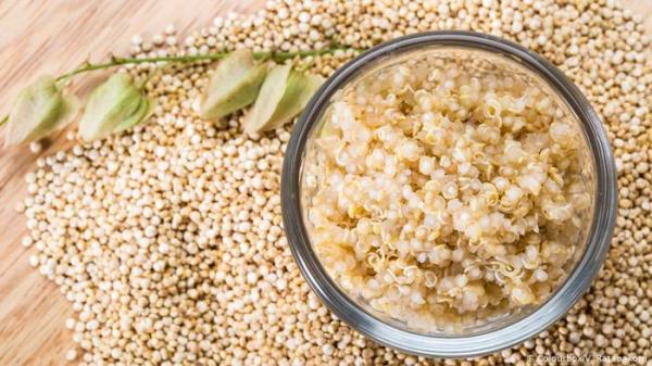 هذه الأطعمة تحفز جسمك على حرق الدهون الزائدة