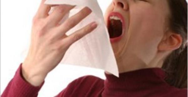 أطعمة ومشروبات تخلصك من الزكام وتنشط جهاز المناعة