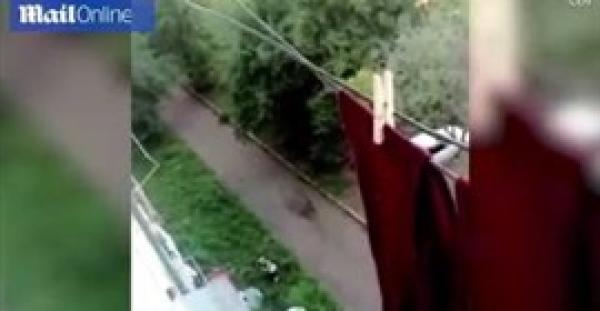 بالفيديو.. لحظة سقوط طفل من الطابق الخامس وإنقاذه بأعجوبة