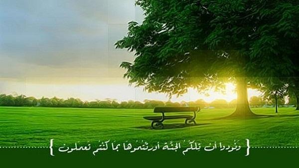 ماذا أعد الله للنساء من نعيم فى الجنة