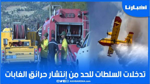 جهود السلطات بإقليم تاونات متواصلة للسيطرة على الحرائق والحد من انتشارها