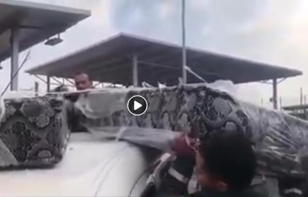 اخر ما كاين في الحريك...الحرس المدني الاسباني يحبط عملية حريك بطريقة لا تخطر على بال !!!