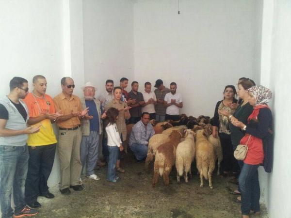 جمعية "بروطيسا" بتطوان توزع أكباش العيد على الفقراء