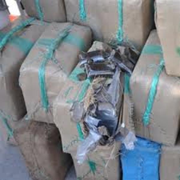 حجز نحو 850 كلغ من مخدر الشيرا بطنجة