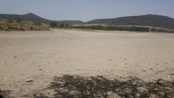 هكذا تحولت جنة "ضاية عوا" إلى أرض قاحلة