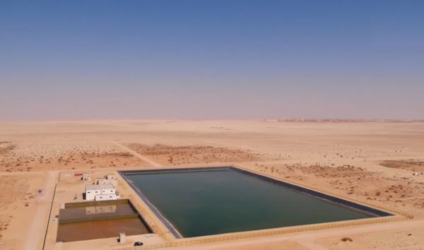 في قلب الصحراء .. مشروع واعد لزراعة الخضر