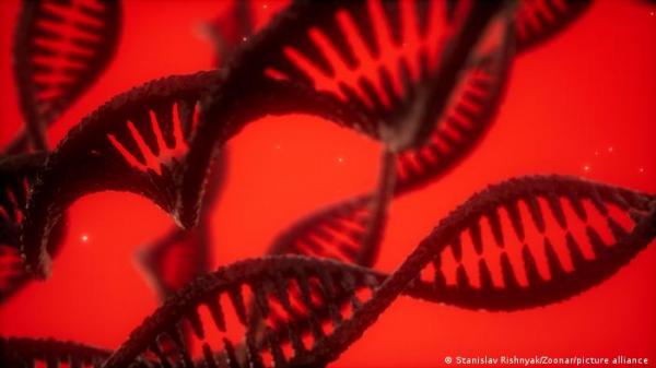 هل يمكن أن يلعب وقف نشاط جينات معينة دوراً في إطالة عمر البشر؟