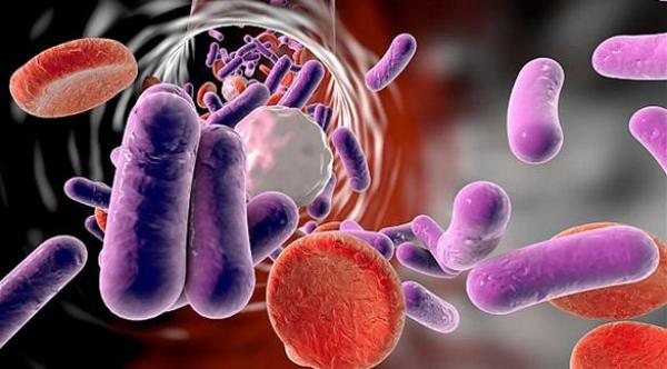 اختبار بسيط يكشف تسمم الدم في 4 ساعات فقط