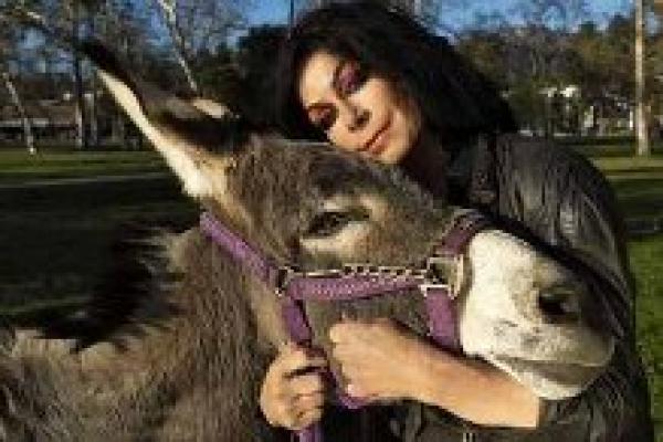 عجوز امريكية تتزوج بحمار‏