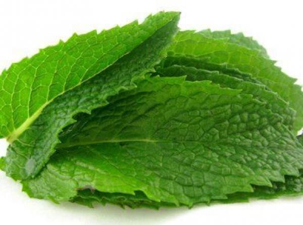 7 فوائد للنعناع على صحة الإنسان