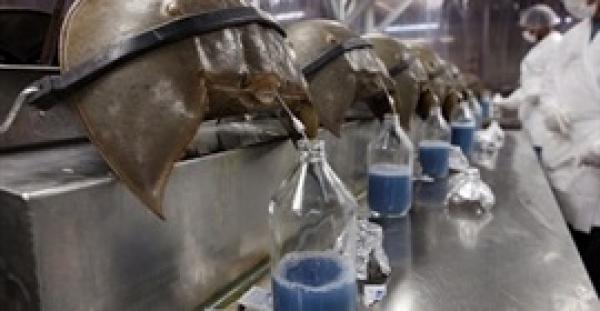 بالفيديو.. أغلى 10 سوائل في العالم