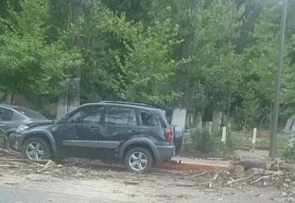 شجرة معمرة تسقط بمنتجع تغبالوت السياحي  وتخلف خسائر فادحة ب 4 سيارات