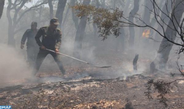 إقليم تطوان.. السيطرة على حريق غابة بني إيدر