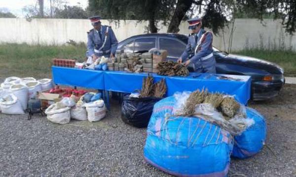 هادي جديدة ...الدرك الملكي يحجز المخدرات والمروجين ينتقمون منهم بالرمي بالحجارة