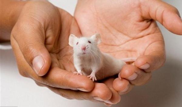 اكتشاف بروتين يصغّر عمر الإنسان 40 عاماً