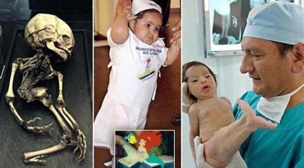 ولادة حوريتي بحر: الأولى في أمريكا والثانية في البيرو