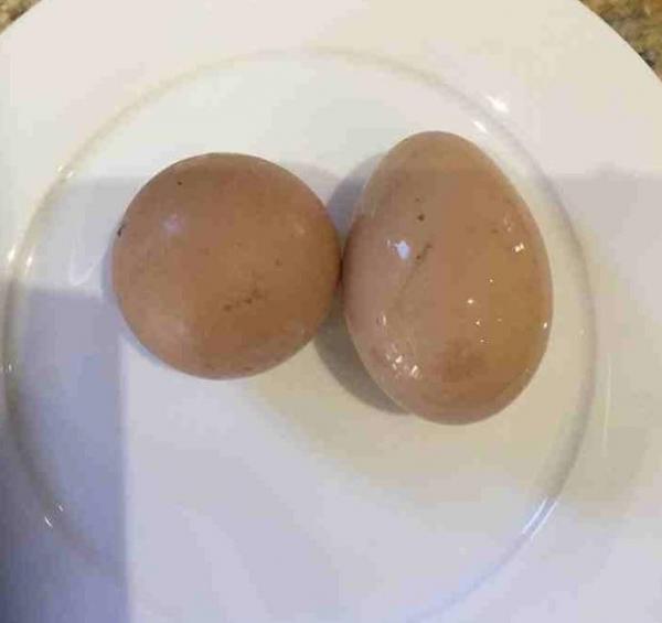 بالصور.. بيضة تتمرد على الواقع وتتخذ شكلاً كروياً !