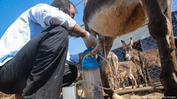 صابون حليب الحمير.. مكونات فريدة تجتذب الأردنيين