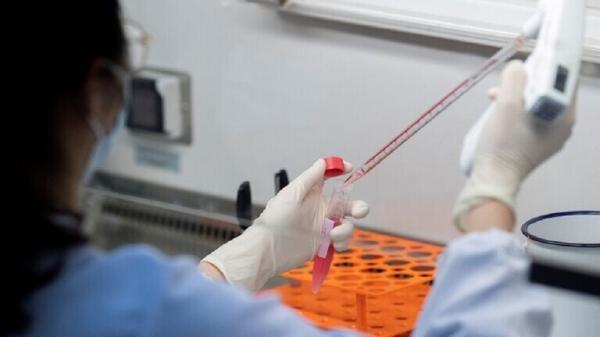 فيروس كورونا انتشر في العالم على شكل ثلاث سلالات