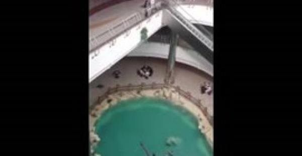 بالفيديو.. قفزة شابين في المياه تثير غضب السعوديين