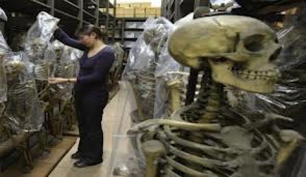 اتهام سويدية بممارسة الجنس مع هيكل عظمي!