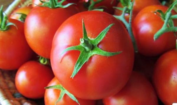 دراسة : الطماطم تساهم في رائحة العرق الكريهة