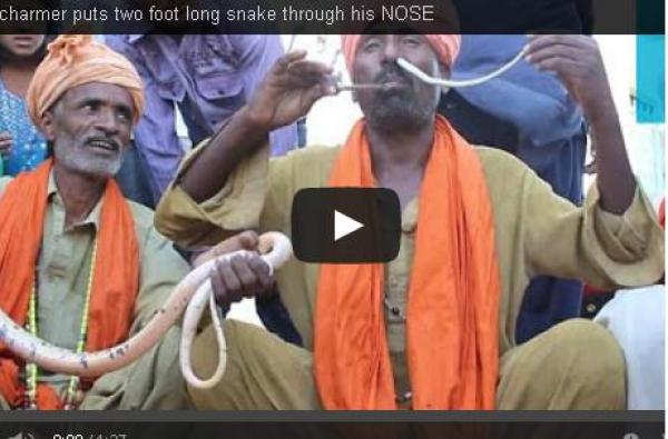 بالفيديو: باكستاني يدخل أفعى من أنفه ويخرجها من فمه