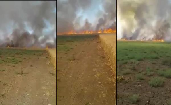 حريق يتلف حوالي 100 هكتار من الحبوب بمنطقة اولاد عبو اقليم سطات